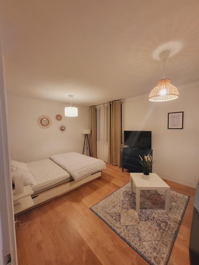 Appartement T1 Bis 35M2 Annecy Proche Centre Ville Ngoại thất bức ảnh